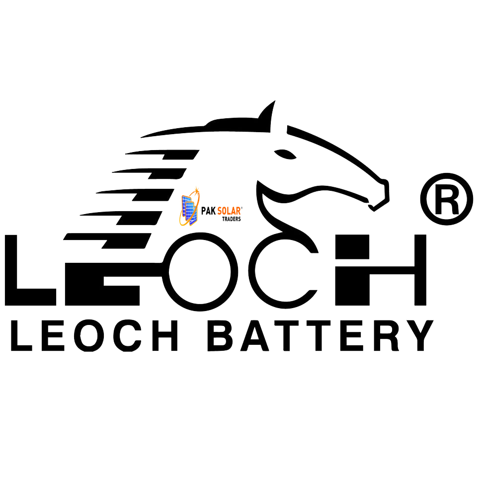 Lecoh 12 Volt Battery